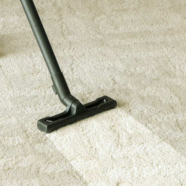 Maid 2 Service in Jersey City, NJ (69)